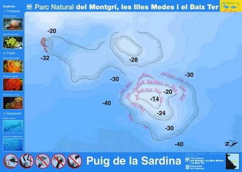 Plongée Montgri - Puig-de-la-Sardina