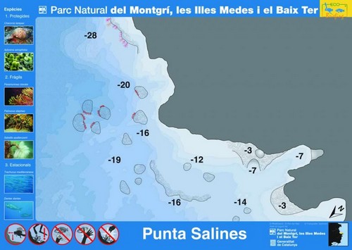 Plongée Montgri - Punta-Salines