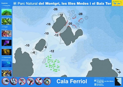 Plongée cote de Montgri - Cala Ferriol