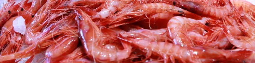 gambas palamos entete
